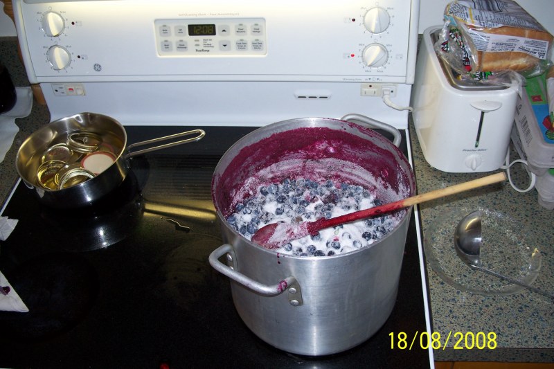 100_2487 [800x600].JPG - et 2 jours aprés..... on fait la confiture!!